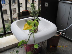 北海365網(wǎng) 日用品、家具與家電，打造舒適家居生活